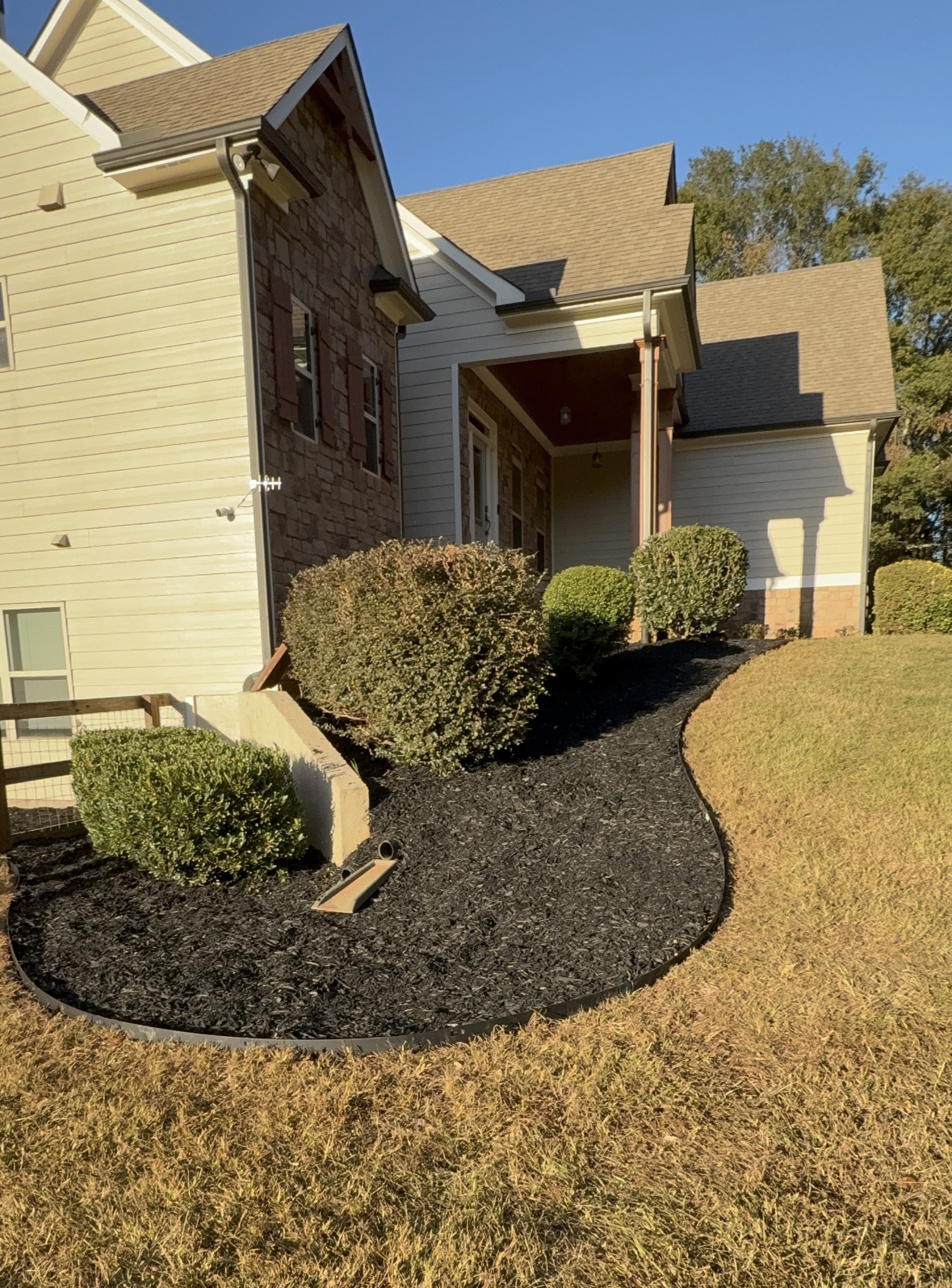 Yard cleanup project
